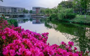 江西高考多少分能录取河北科技学院?附2022-2024年最低录取分数线