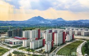 浙江考生多少分能上湖南信息学院?附近三年最低院校投档线