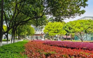 海南高考多少分能考上河北工程大学科信学院?附2022-2024年最低录取分数线