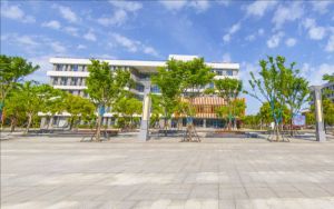 河南高考多少分能录取中央美术学院?2024年文科录取分560分 理科投档线572分