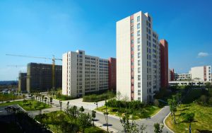 甘肃考生521分左右可以报考那些大学?(附近三年521分大学录取名单)