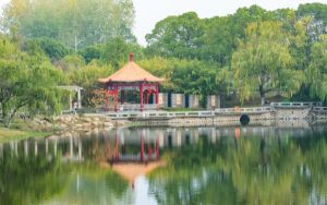 山东高考多少分能考上湖北商贸学院?附2022-2024年院校最低投档线