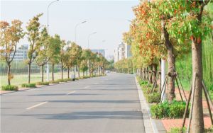 海南考生618分左右可以录取哪些大学? 2024年一共29所大学录取