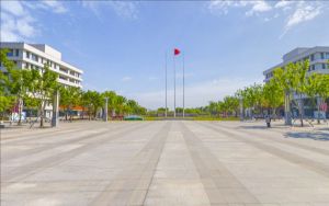 重庆606分考生都可以填报哪些公办大学?(附近三年606分大学录取名单)