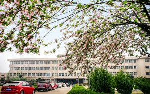 河北高考489分左右可以报考的公办本科大学名单!(供2025届高三考生参考)