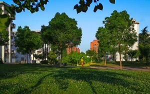 四川491分左右的考生可以报考哪些公办本科大学? 2025年高考可以填报13所大学
