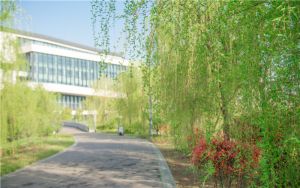 云南高考多少分能考上安徽粮食工程职业学院?附2022-2024年最低录取分数线