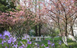 内蒙古476分考生可以报考哪些本科大学?(供2025届考生填报志愿参考)