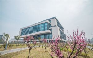 广东490分左右的考生可以报考哪些公办本科大学? 2024年一共41所大学录取