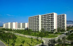 广东高考多少分能录取广东信息工程职业学院?2024年历史类最低315分 物理类314分