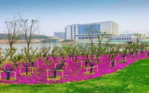 广西高考535分左右报考大学都有哪些? 2025年高考可以填报56所大学