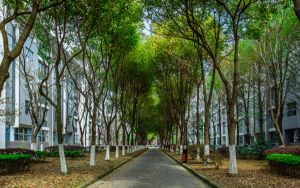 广东高考多少分能上辽宁师范大学海华学院?2024年历史类录取分471分 物理类最低472分