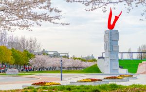 广西558分考生可以报考哪些本科大学?(附带2022-2024年558左右大学名单)